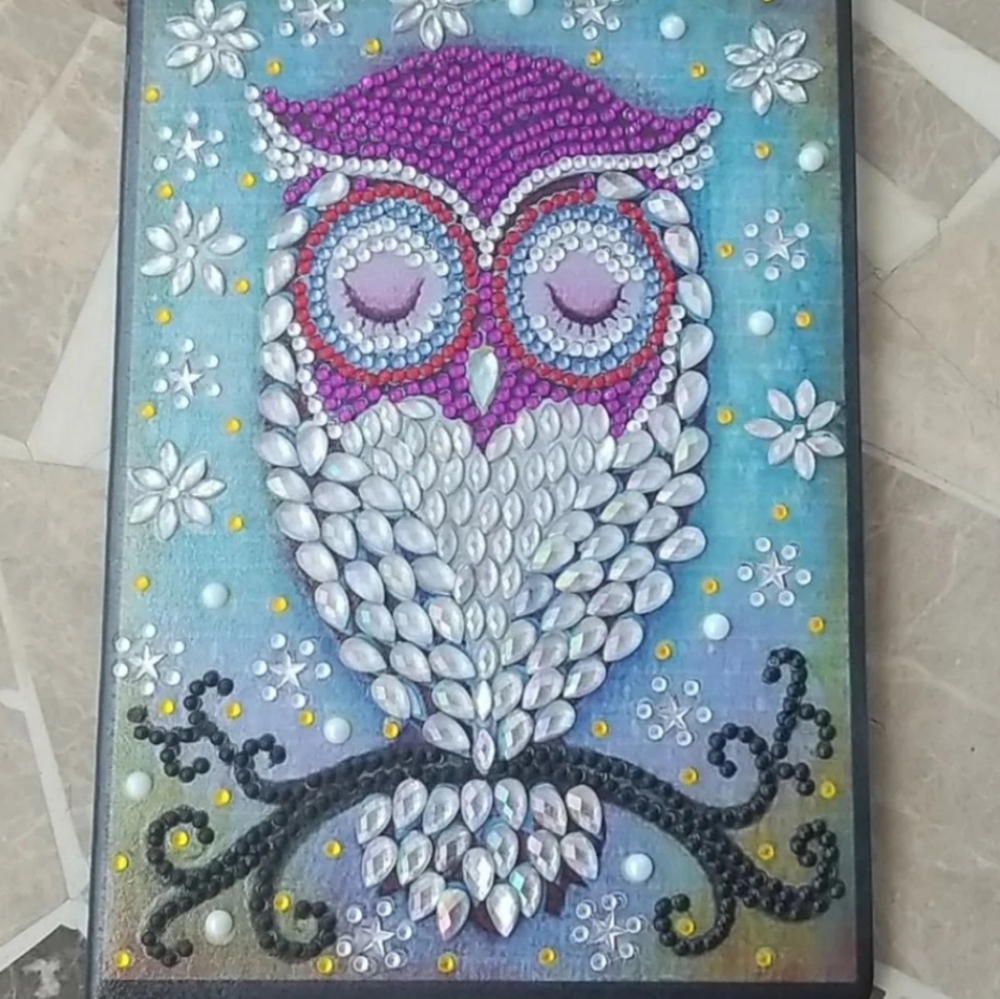 Jeweled Owl Soft Leather Journal/notebook NWOT